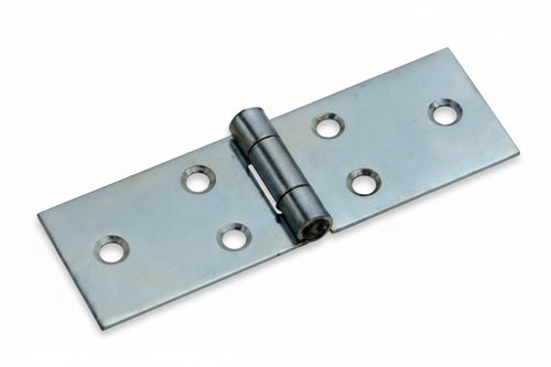 Cerniere Lunghe Con Perno Fisso Art.122- - Mm.25X100X1 - 24 Pezzi Aldeghi