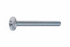 Viti Per Pomoli- - Ø Mm.4X30 - 500 Pezzi Ambrovit