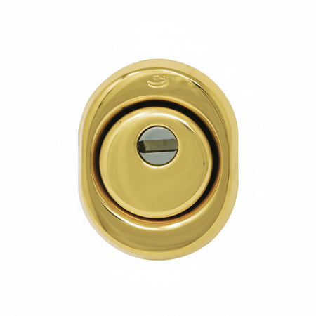 Defender 325 Atra In Ottone Lucido Mm.50X15H Interasse Mm.31 Cipierre