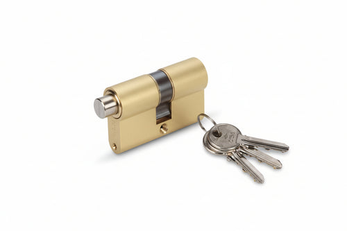 Cilindri A Infilare Cisa Sagomato 0G300 Mm.100 Decentrato (35X65) 0G300220 Cisa