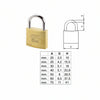 Lucchetto Ottone Arco Normale Aditus City P700- - Mm.50 (P70050277) - 10 Pezzi Iseo