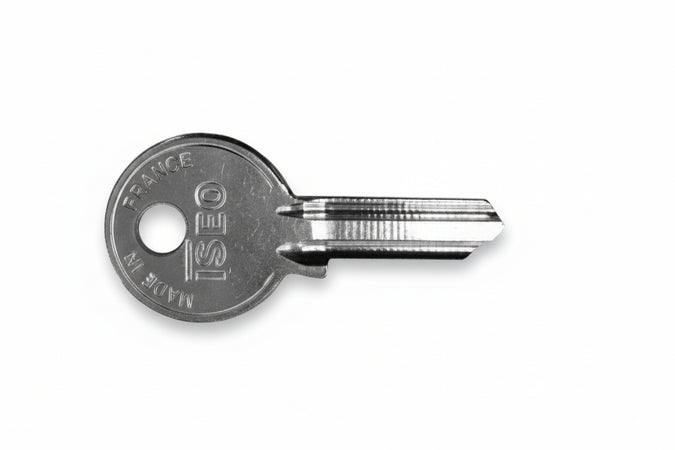 Chiave Grezza 4 Spine Piccole 020079- - 020079 - 20 Pezzi Iseo