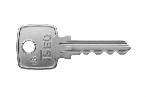 Chiave Grezza F6 020609- - (020609) - 10 Pezzi Iseo