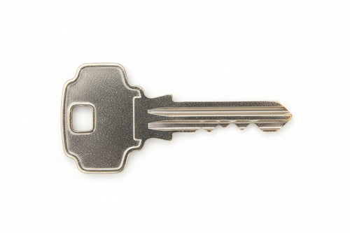 Chiavi Per Cilindri Dexter 5 Spine Grandi Dx1- - Dx1 Dx - 5 Pezzi Silca