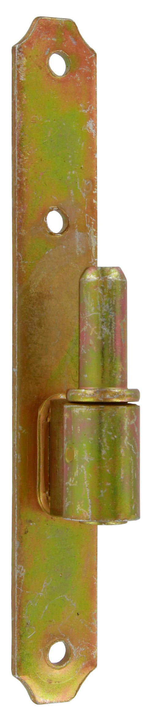 Cardine Per Bandella Ferro Tropical 24X180 Mm- 24,0 Pz