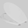 Sedile Colato Cl76 Bianco Coprivaso Copriwater Sapal