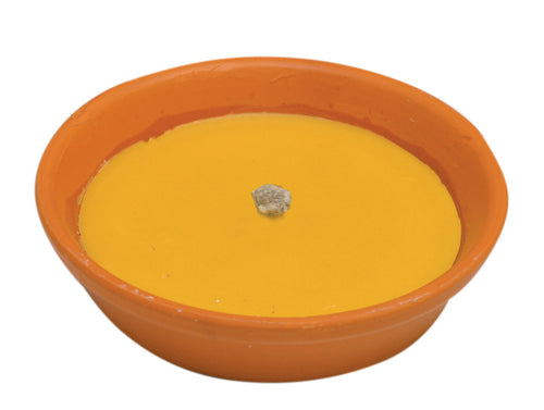 Citronella In Coccio Antivento D 11 Cm- 53,0 Pz