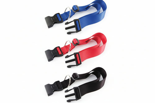 Collare Nylon Classic Per Cani- - Cm.36-56 Colore Blu C20/56 - 2 Pezzi Ferplast