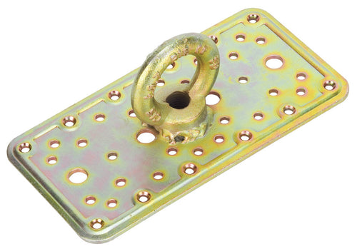 Piastra 862 Con Occhiolo Acc Trop 100X3,0X200 Mm- Aldeghi Luigi Spa- 4,0 Pz