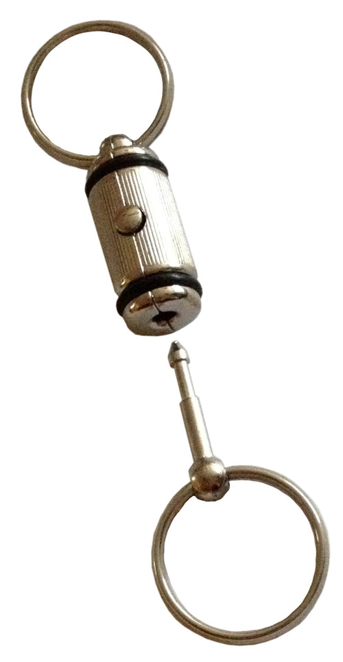 Portachiavi Divisibile Dupli Cromato Cartella 21 Pz- Diesse- 1,0 Confezione