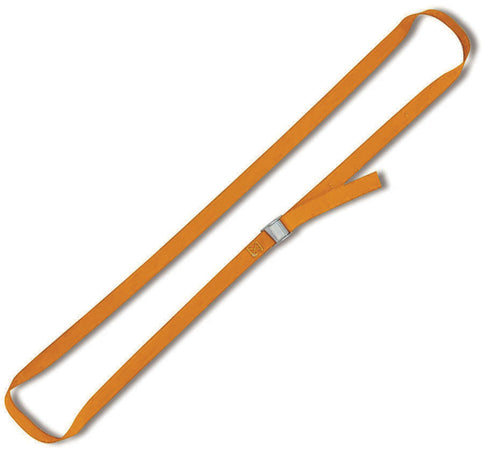 Robur 8188 F Nastro Ad Anello C/Fib 25 Mm X 2,5 M- 10,0 Pz