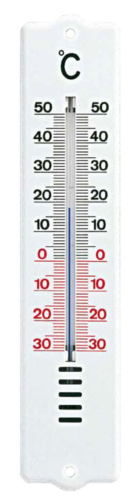 Termometro In Abs 20,5X4,5 Cm 101032- Moller Therm- 1,0 Pz