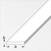 Profilo Bianco H.200 Cm Piatto 30X2 Mm- 5,0 Pz