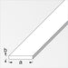 Profilo Bianco H.200 Cm Piatto 30X2 Mm- 5,0 Pz