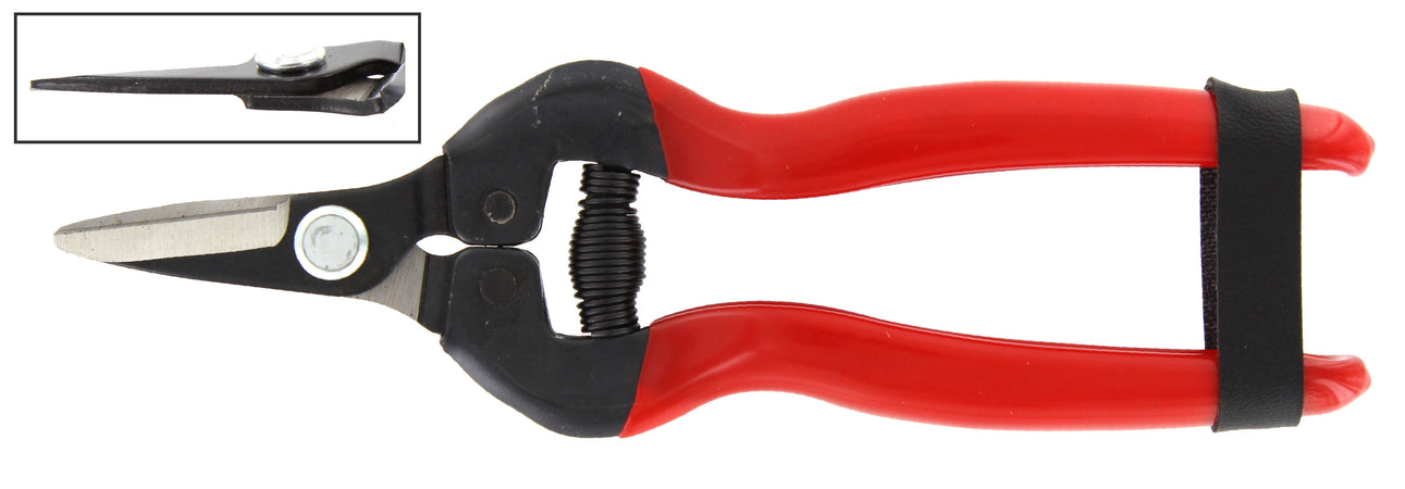 Forbici P/Uva Lame Dritte Corte- 1,0 Pz