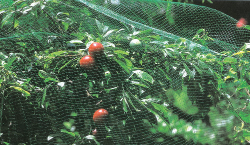 Rete Di Protezione Antiuccelli H 2X10 M Verde- 1,0 Pz