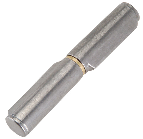 Cerniera Con Costa 255 Perno Acciaio 100 Mm- Combi Arialdo- 24,0 Pz