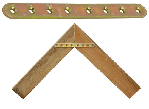 Piastra 767 Diritta Acciaio Tropic 20X4,0X100 Mm- Aldeghi Luigi Spa- 25,0 Pz