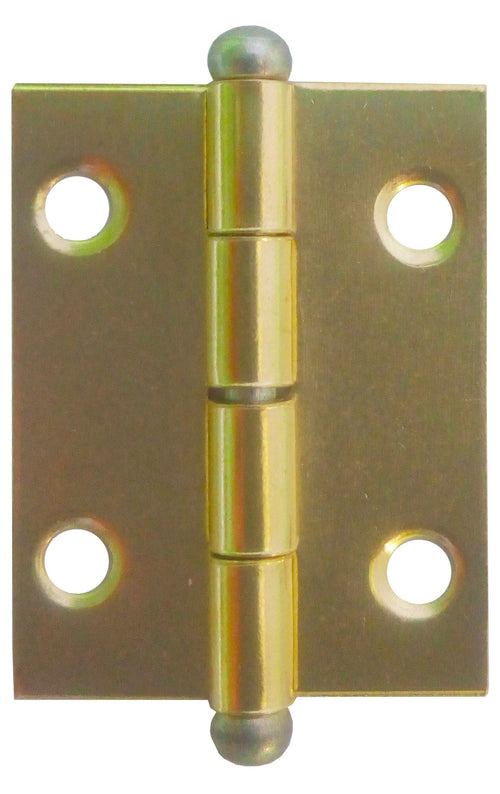 Cerniera Perno Sfilabile Acciaio Ott 20 X 30 Mm**- Donghi Bartolomeo- 50,0 Pz