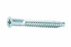 Viti Di Giunzione 466 Autofilett Acc Zinc 5X50 Mm*- 200,0 Pz