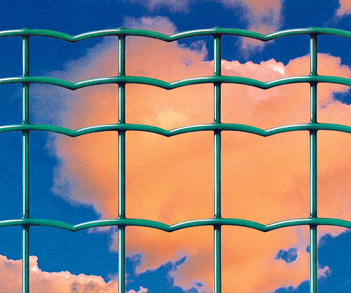 Rete Everplax H 60 Cm Rotolo 25 M Verde- 1,0 Rotoli