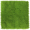 C Siepe Artificiale Pannello 100X100Cm Green- 2,0 Pz