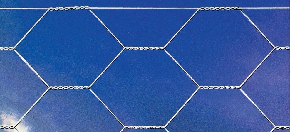 Rete Tripla Torsione F19 H100 Rotolo M.50- 1,0 Pz