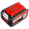 Batteria 36V 7,5 Ah Sbaraglia- 1,0 Pz