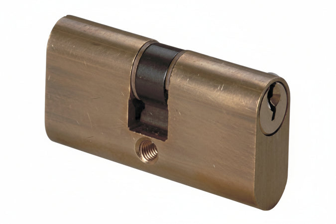 Logo 08110 Cilindro Ovale 60 Mm 25,0.10.25,0 (30-30)- Cisa- 1,0 Pz