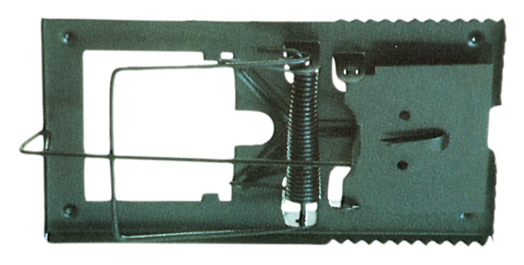 Pl Trappola P/Topi Tipo Grande- 6,0 Pz