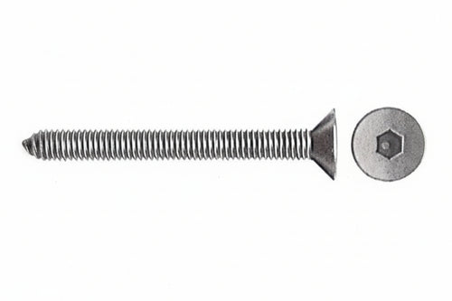 Sc Viti Per Bussola T.S.P. Esag Inc 6Ma 60 Mm 10 Pz- 5,0 Pz