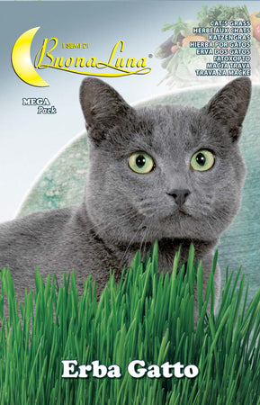 Semi Orto Erba Gatto- Hortus Sementi- 10,0 Pz
