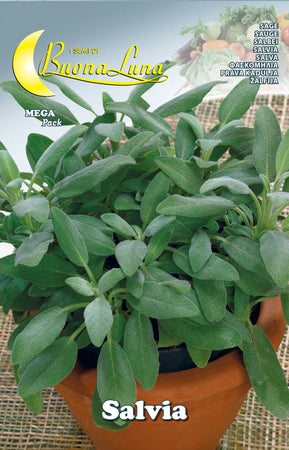 Semi Orto Salvia- Hortus Sementi- 10,0 Pz