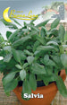 Semi Orto Salvia- Hortus Sementi- 10,0 Pz