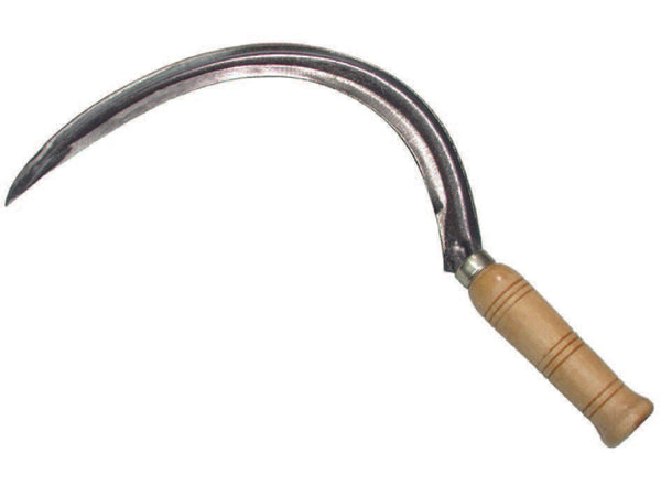 Falciola Con Costa N°3 Il Campo