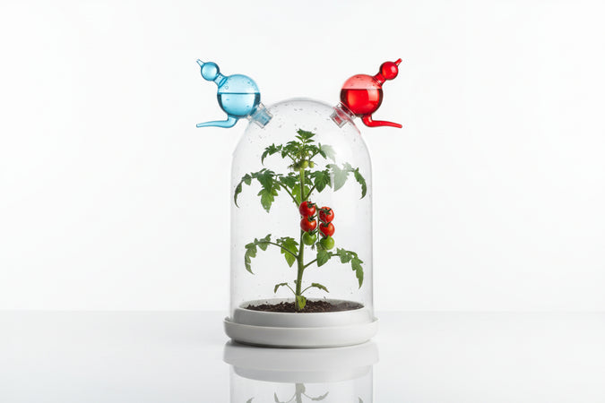 Telo Tessuto Tnt Cappuccio Protettivo Sacco Bianco Gr.17- - Ø Cm.160X200H. Peso Gr.17/Mq Conf. Da 1 Pz. - 6 Pezzi T-Rex