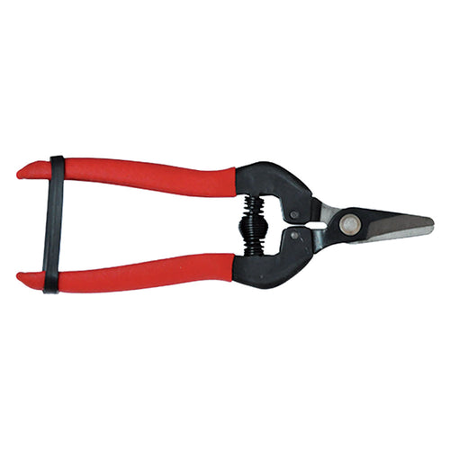 Forbici Cogliuva Cm 16 - Pz. 1 - Blister Koncreto