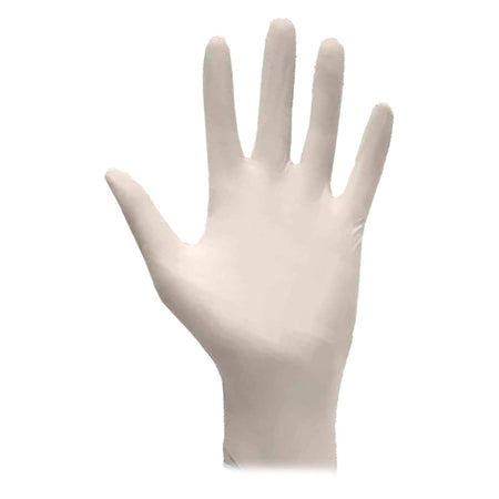 Guanti Lattice Monouso L - Ajsia