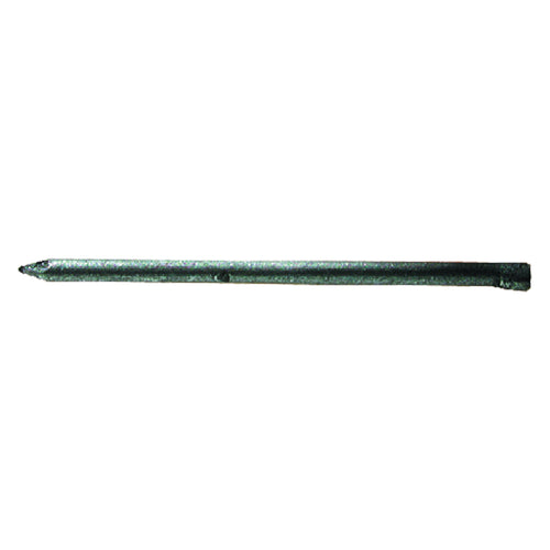 Chiodi Testa Gruppino Tg 1,2 X 20 Cf. 100 Pz- 25 Confezione