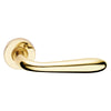 Maniglia Porta Blindata Rosetta Tonda 'Goccia' Dx - Cromo Satinato - Forme