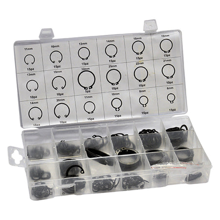 Anelli Elastici In Cassetta 300 Pezzi - Ribimex