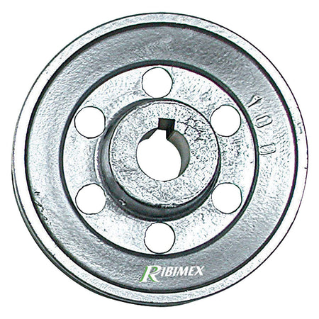 Puleggia Per Motore 1 Gola - Ø 100 - Asse 19 Mm - Ribimex