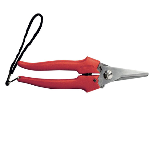 Forbici Cogliuva Art. 31327 - Cm 19 - Ausonia