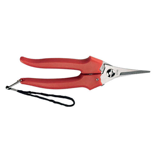 Forbici Cogliuva 'Lame Strette' Art. 31329 - Cm 19- 6 Pezzi - Ausonia