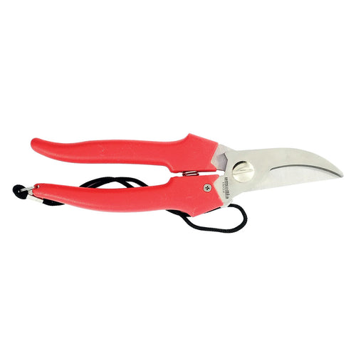 Forbici Cogliuva Art. 35031 - Cm 19 - Ausonia