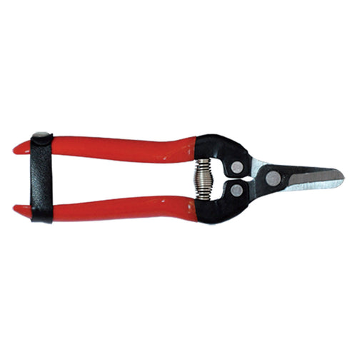 Forbici Cogliagrumi Cm 16 - Falci