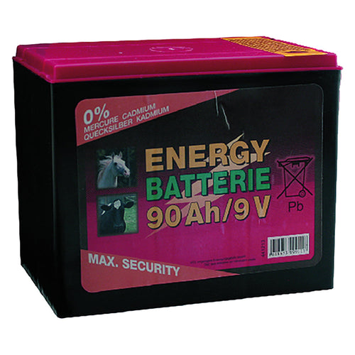 Batteria A Secco 90 Ah - Albert Kerbl