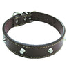 Collare Per Cane Larg. Mm 25 Lung. Cm 55- 6 Pezzi
