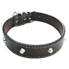 Collare Per Cane Larg. Mm 30 Lung. Cm 55- 6 Pezzi