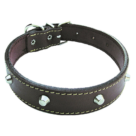 Collare Per Cane Larg. Mm 30 Lung. Cm 55- 6 Pezzi
